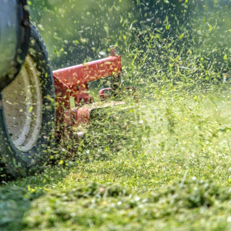 Lawn mower cutting grass, with clippings and debris flying in the sunlight.
