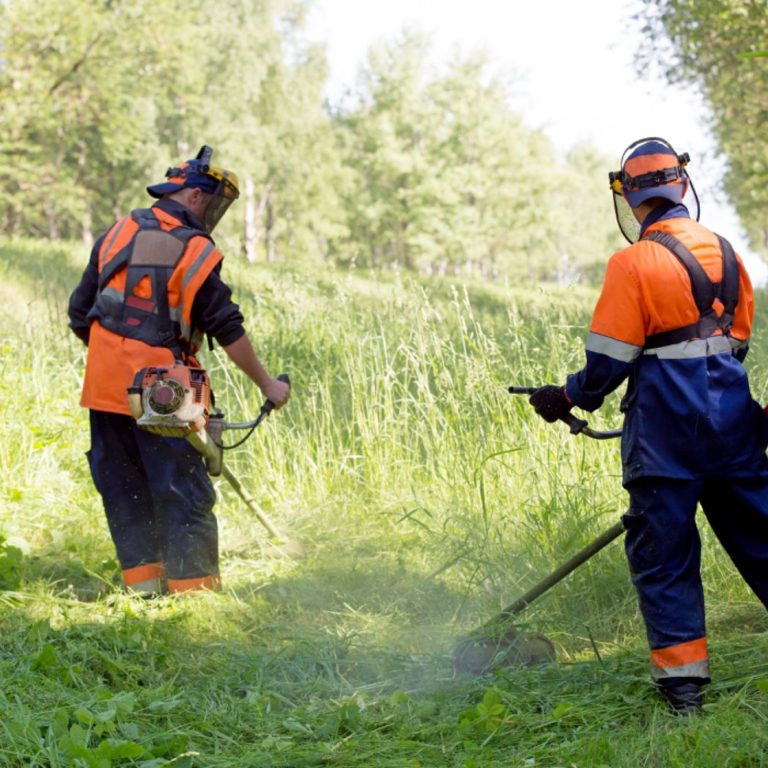 Two workers in safety gear using strimmers in a grassy area.